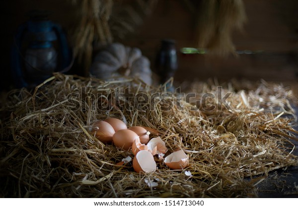 Eggs Straw Nest Old Lanterns Old Stock Photo Edit Now 1514713040