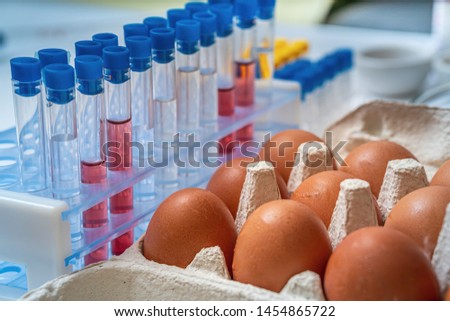 Eggs are tested for salmonella in laboratory. Food safety research.