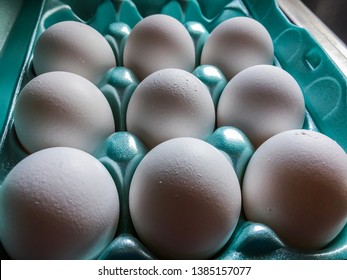 Eggs In Their Styrofoam Packaging 