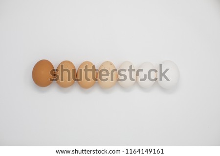 Eggs of various colors