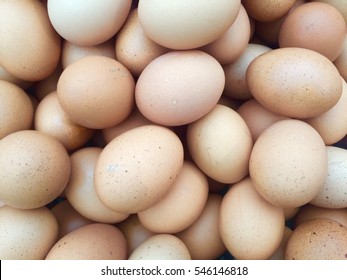 Eggs.chicken Eggs.