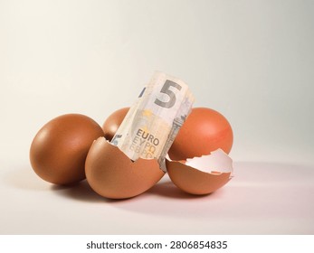 Eggshell with 5 Euro Note - A five euro banknote emerges from a cracked brown eggshell, symbolizing new money, investment growth, or unexpected financial gain.