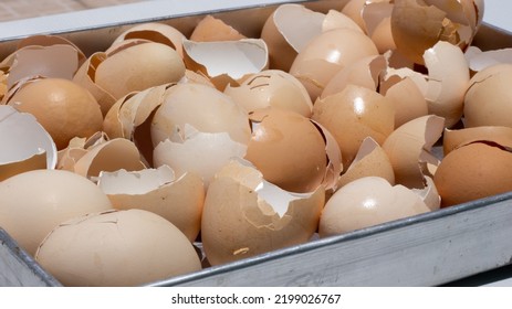 Eggshell. Dry egg shells in the pan. - Powered by Shutterstock