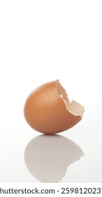 Eggshell Fragment Isolated in White Background Showcasing a Delicate Break