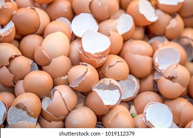 Eggshell, Many Broken Eggshell 