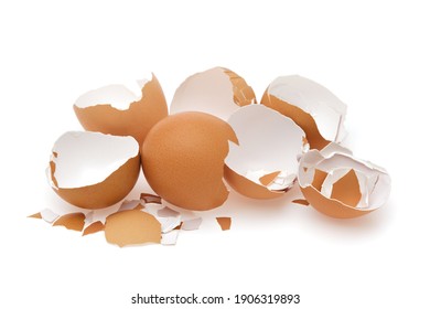 Eggshell. Shell of eggs on white.