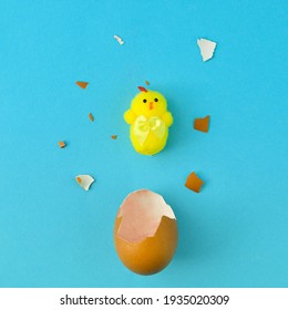 Eggshell and yellow chicken. Creative Easter concept.