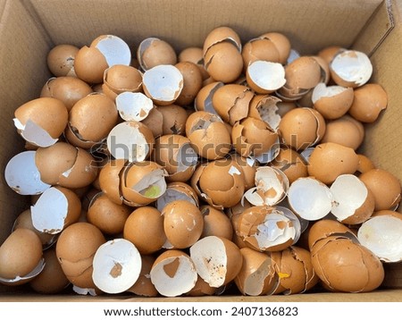Eggshells are rich in calcium, which helps plants flourish and grow well.