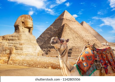 Egypt Cairo - Giza. General view of pyramids with Sphinx - Shutterstock ID 1142805506
