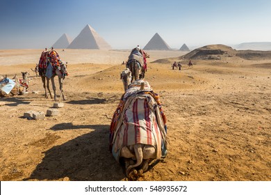 Egypt. Cairo - Giza. General View Of Pyramids