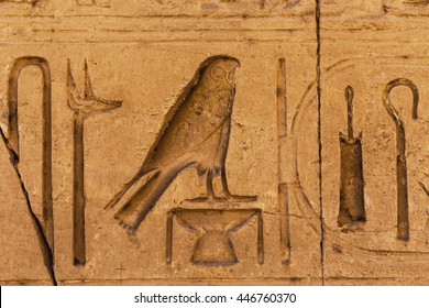 Egypt Hieroglyphs Bird Egyptian Hieroglyph Closeup Stock Photo (Edit