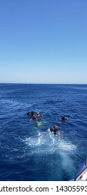 Egypt,  Hurghada 20.06.2019 Group Of Divers In The Open Sea In The Blue Clear Water Against The Blue Sky And Horizon