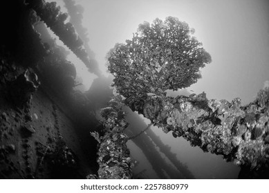 EGYPT, Red Sea, the wreck of a sunken ship  - Shutterstock ID 2257880979