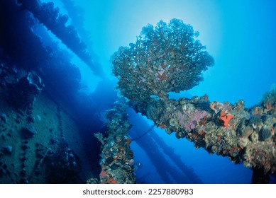 EGYPT, Red Sea, the wreck of a sunken ship  - Shutterstock ID 2257880983