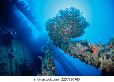 EGYPT, Red Sea, the wreck of a sunken ship  - Shutterstock ID 2257880985