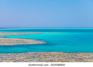 Egypt, Sharm El Sheikh - July 23, 2021. Tiran Island Jackson Reef. 