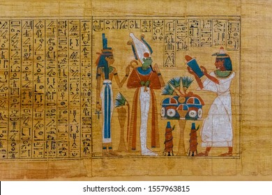 Egyptian ancient papyrus with different pictures and hieroglyphics - Shutterstock ID 1557963815