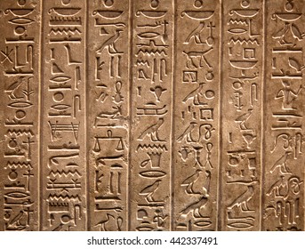 Egyptian hieroglyphs on the wall - Shutterstock ID 442337491