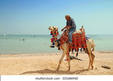 Egyptian man on his camel at Red Sea - Powered by Shutterstock