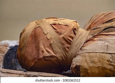 Egyptian Mummy Close Up Detail