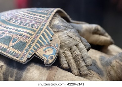 Egyptian Mummy Close Up Detail