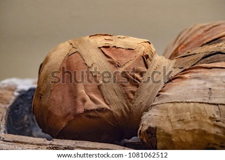 Egyptian mummy close up detail ストックフォト © 