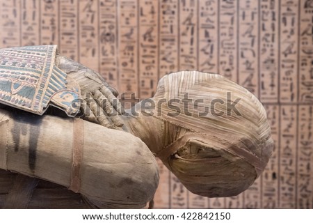 Egyptian mummy close up detail with hieroglyphs background Stock fotó © 