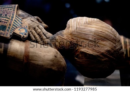 egyptian mummy head close up detail ストックフォト © 