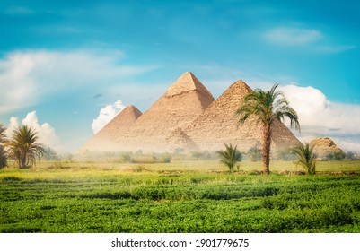 Egyptian pyramids in green field at foggy morning