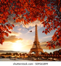 Eiffel Tower with autumn leaves in Paris, France - Shutterstock ID 509561899