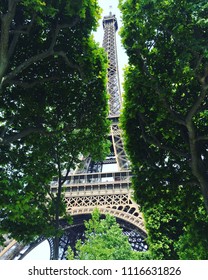 The Eiffel Tower between the trees