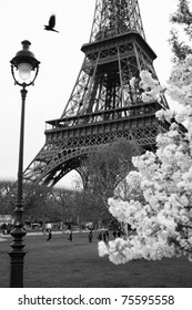  Eiffel Tower in black and white style, Paris, France