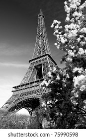 Download Wallpaper Eiffel Tower Black Hd Cikimm Com