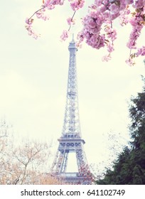 Eiffel Tower Cherry Blossoms Spring Stock Photo 641102749 | Shutterstock