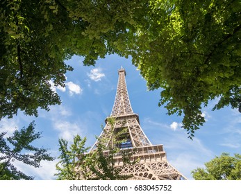 The Eiffel tower in Paris on a background of blue sky and tree leaves, big plane.