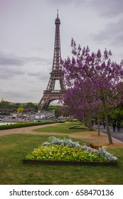Eiffel tower in Spring