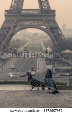 Similar – Image, Stock Photo encore une fois, la tour eiffel !