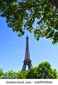 Eiffel Tower surrounded by trees branches with green leaves from a distance  