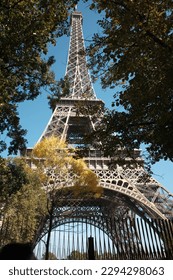 Eiffel tower surrounded by trees