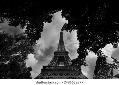 Eiffel tower surrounded by trees