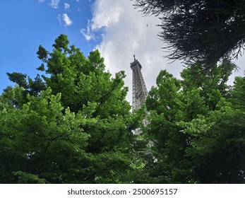 Eiffel Tower surrounded by trees