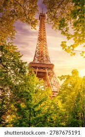 The Eiffel Tower, surrounded by Trees at Sunset