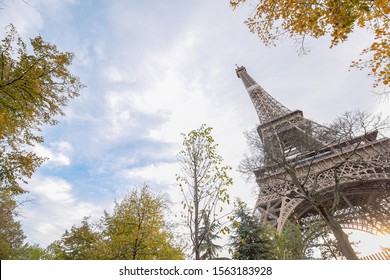 Eiffel tower view through the tree to sky