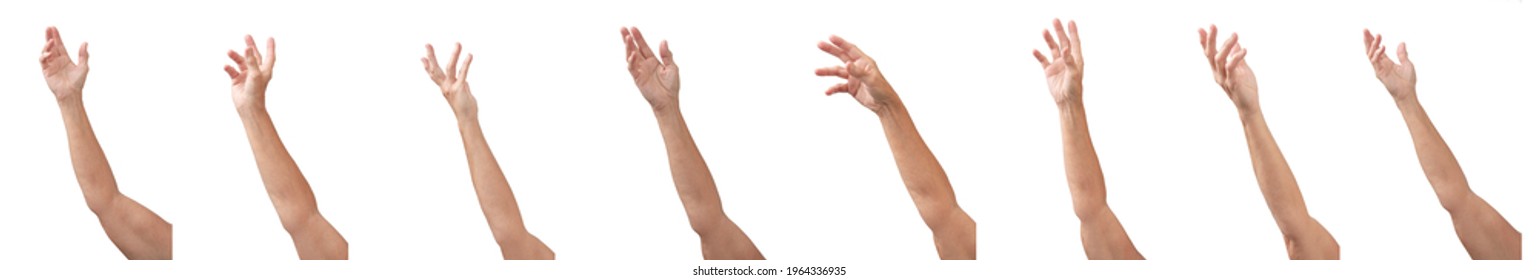 Eight different views of a lady's hand and arm throwing, catching, waving, etc.  Isolated on white for easy extraction.