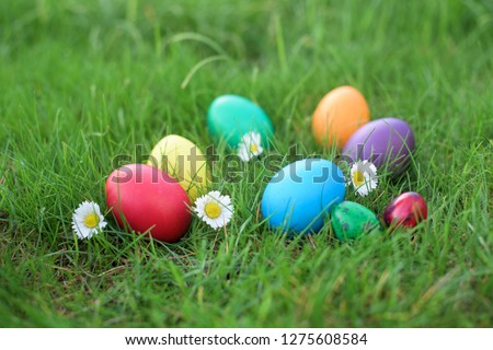 Similar – Image, Stock Photo Easter hunt Joy Happy