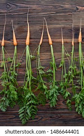 Eight little carrots with leafs on broun wooden background for ilustration of cookbook or cooking recipe as ingedient of vegitarian healthy food.
