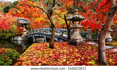 Eikando or Eikan-do Zenrinji shrine and bridge with red, yellow maple carpet at peak autumn foliage color during late November in Kyoto, Japan. Famous landmark to see fall leaf with beautiful garden.