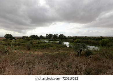 Ein Afek - nature reserve