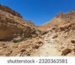 Ein Gedi Israel National Park, sunny and desert canyon in Israel.