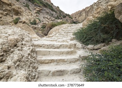 Ein Gedi National Park, Israel
